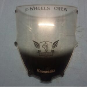Windschild Kawasaki ZX9r E
