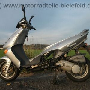 Aprilia Leonardo 125-150 Typ ZD4MB